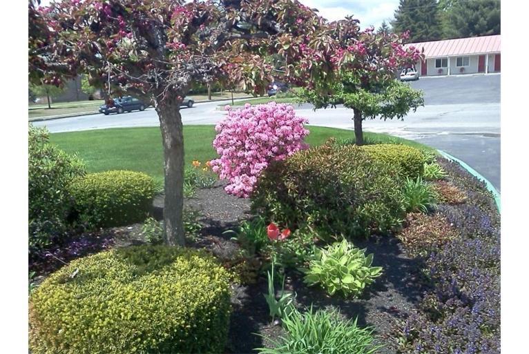 Skowhegan Belmont Motel מראה חיצוני תמונה